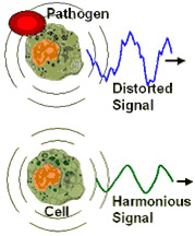 Sampling Micro-magnetic Oscillations